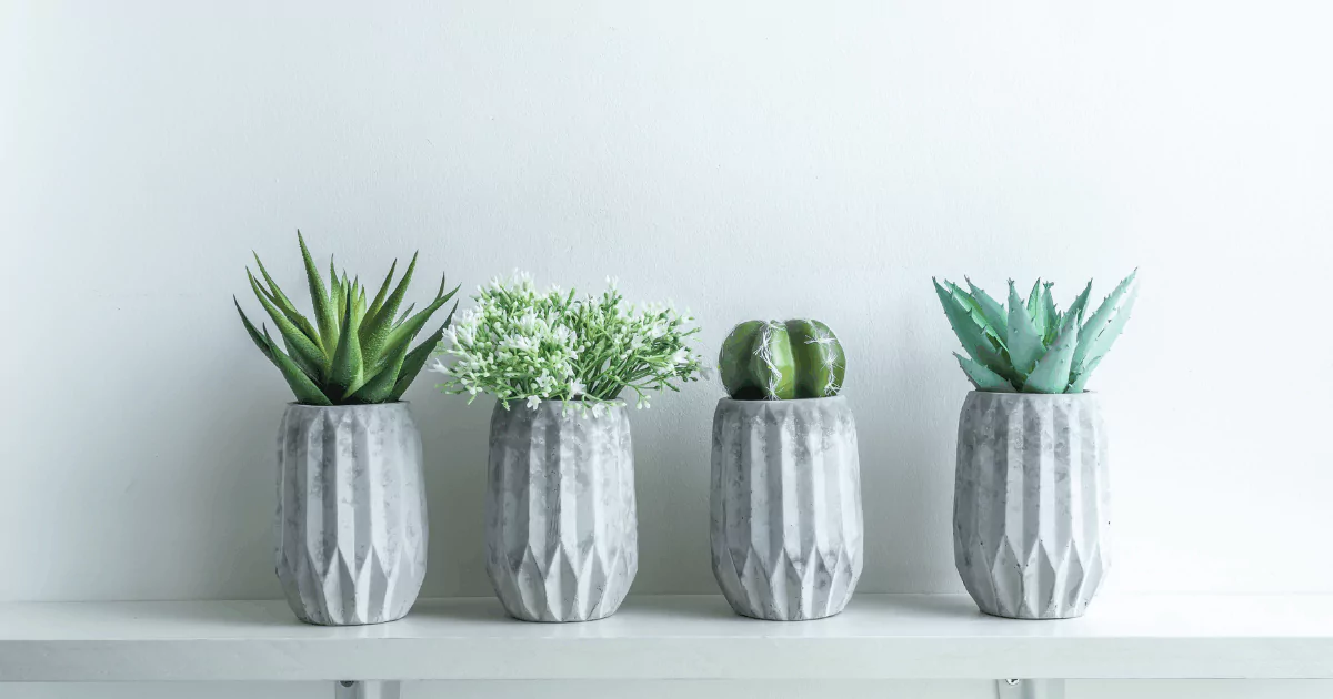 Vases and Planters for a Fresh Room Look