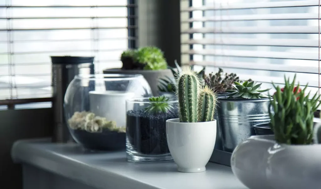 Home Decorating Ideas