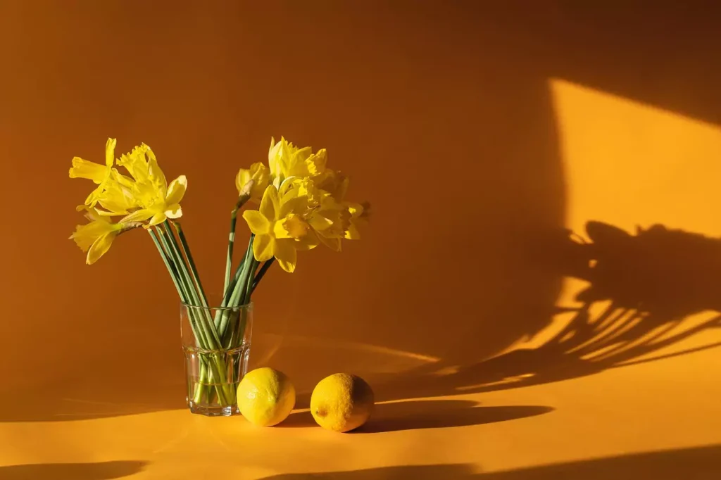 Home Decorating Ideas