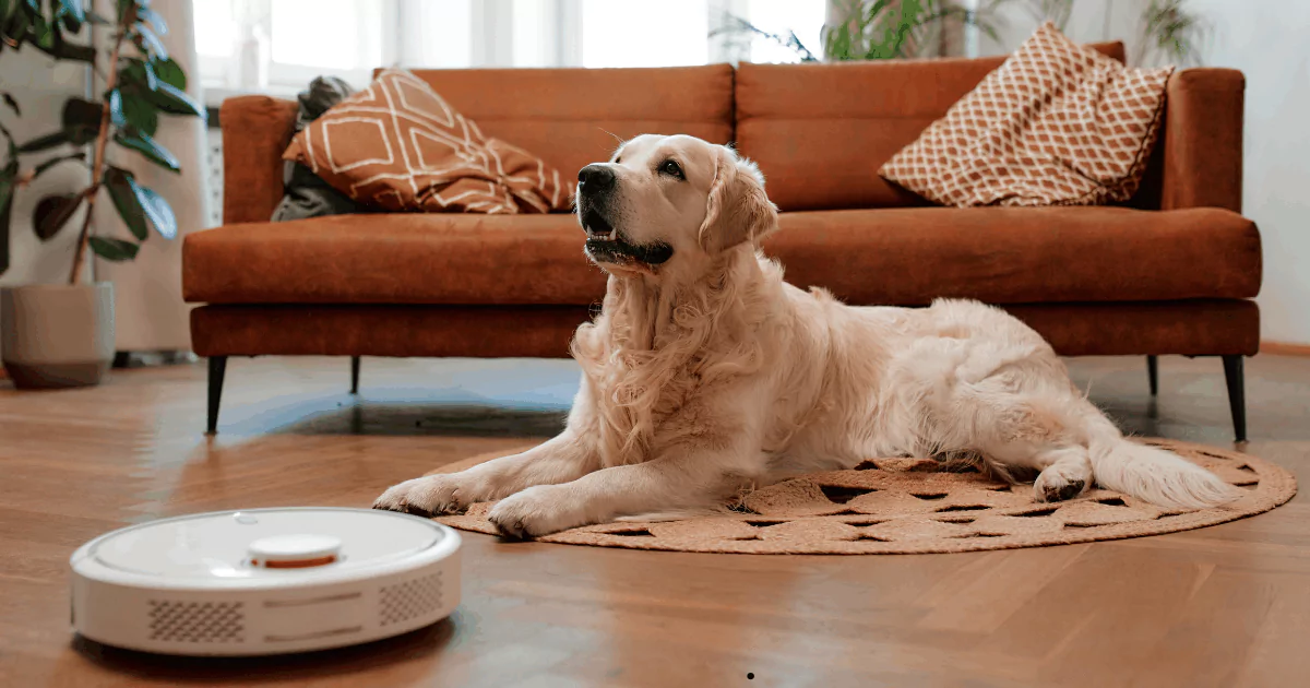 Pet-Friendly Home
