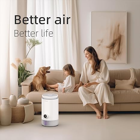 Air Purifier and Evaporative Humidifier Combo