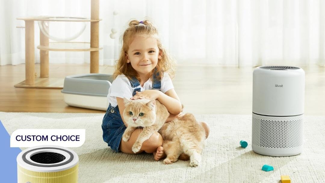 Air Purifier for Home Allergies Pets Hair