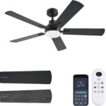 Modern Ceiling Fan