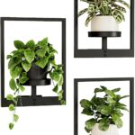 Get Stylish Indoor Wall Plant Holders and Stand 
