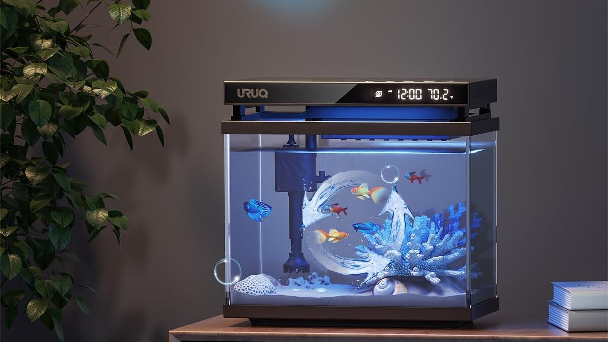 Aquarium Fish Tank