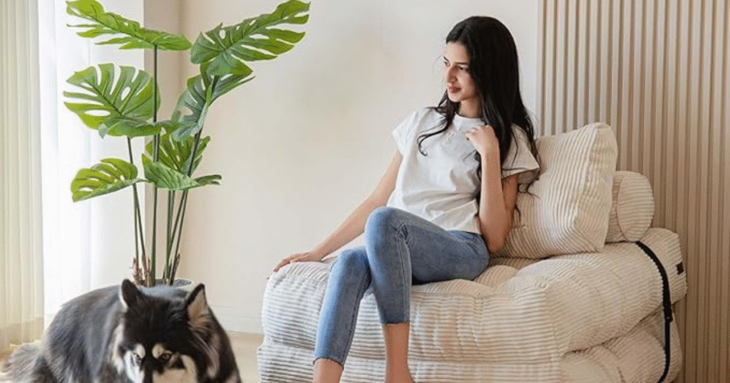 folding sofa bed